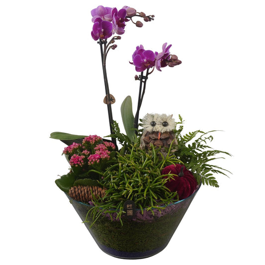 Indoor arrangement 47cm 25cm Pot