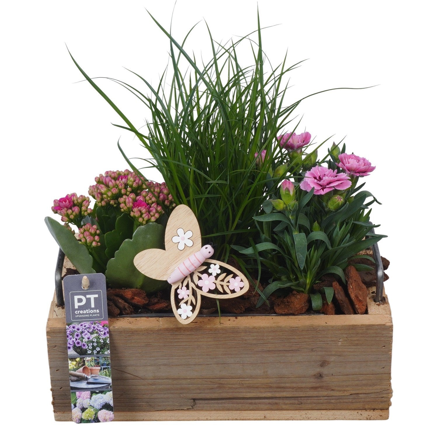 Outdoor arrangement 27cm 25cm Pot