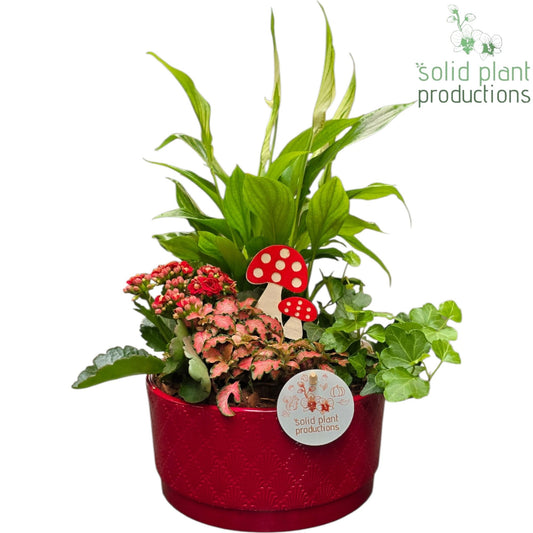 SP003 Loes Red 40cm 18cm Pot
