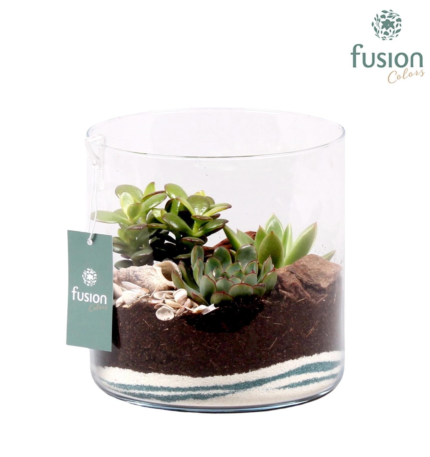 Maritiem glazen cilindervaas met 20cm 19cm Pot