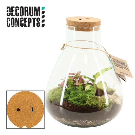 arr. Terrarium Erlenmeyer GCE+L 32cm Pot