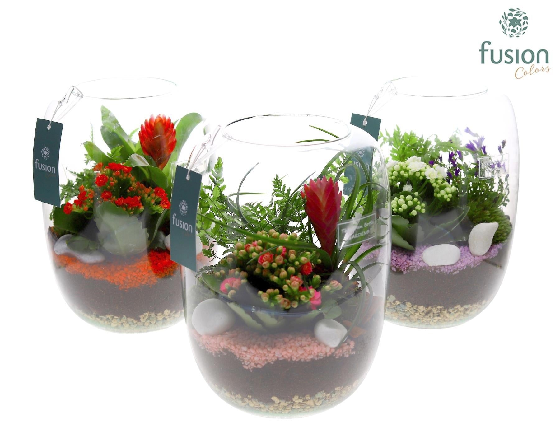 Green Bottle Isabella Large met Arrangement 24uur levertijd 25cm 19cm Pot