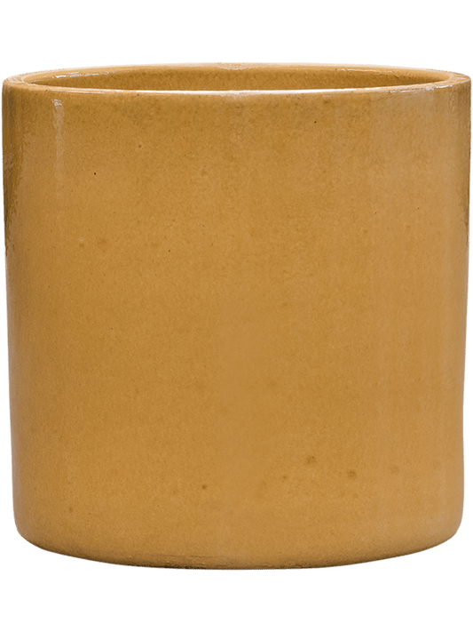 Cylinder Plant Pot 30cm Height 26cm Dia Pot Honey
