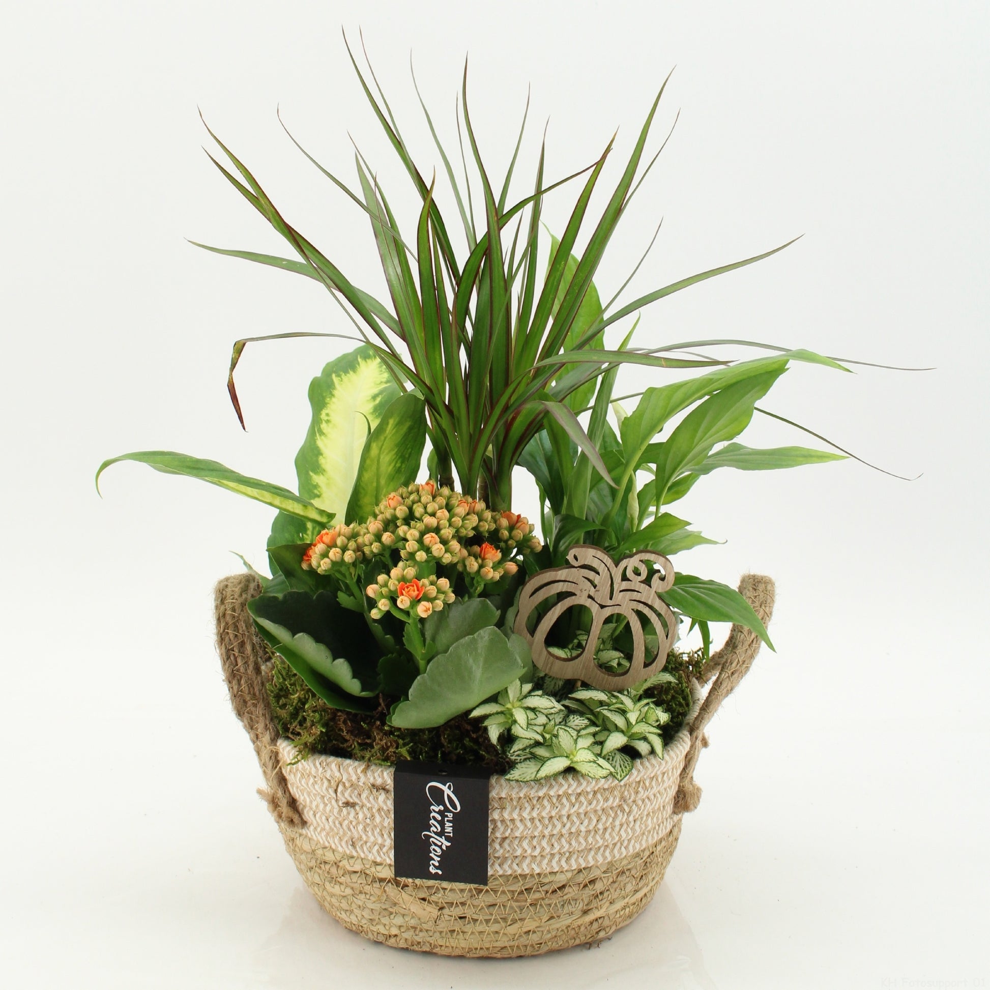 BHCR-2620 Autumn Fundamentals 45cm 21cm Pot