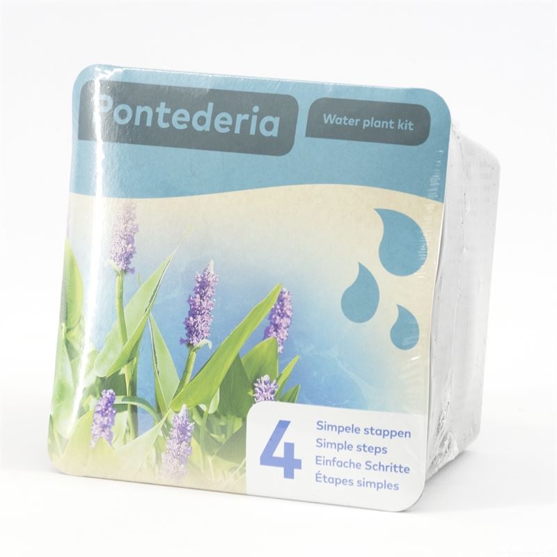 Waterplkw R. Moerings Pontederia cordata Pack of 7