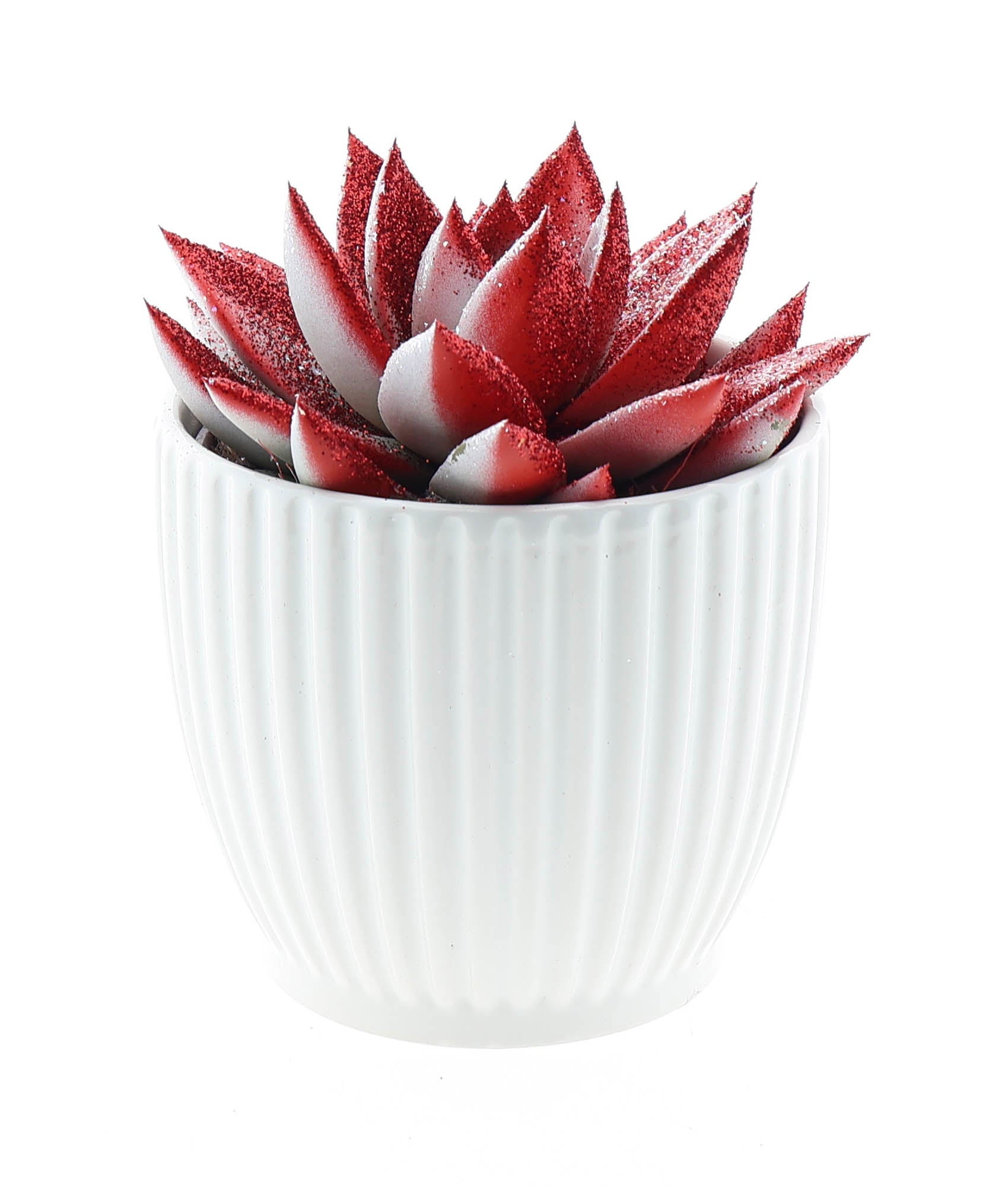 Euro Cactus Holland Bv Design pot miranda rood/wit glitter Pack of 4