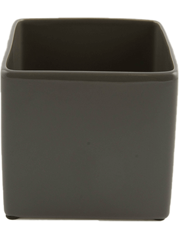 Basic Plant Pot 7cm Height 6cm Dia Square Minipot Dark Grey