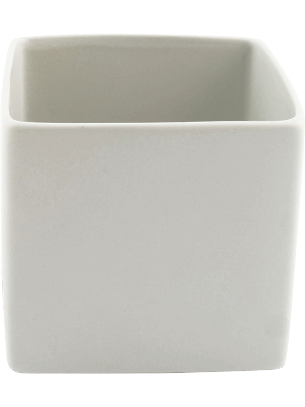 Basic Plant Pot 7cm Height 6cm Dia Square Minipot White