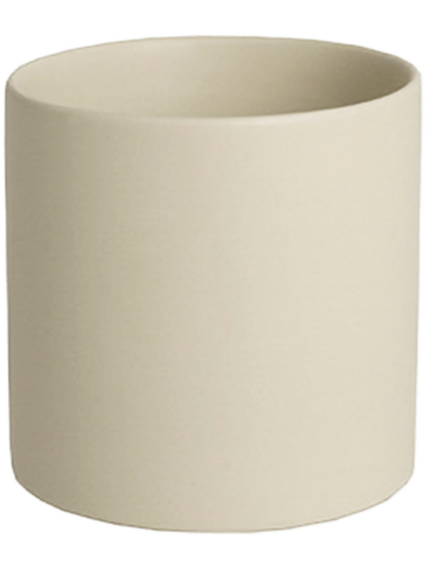 Basic Plant Pot 14cm Height 13cm Dia Cylinder Orchidpot Cream