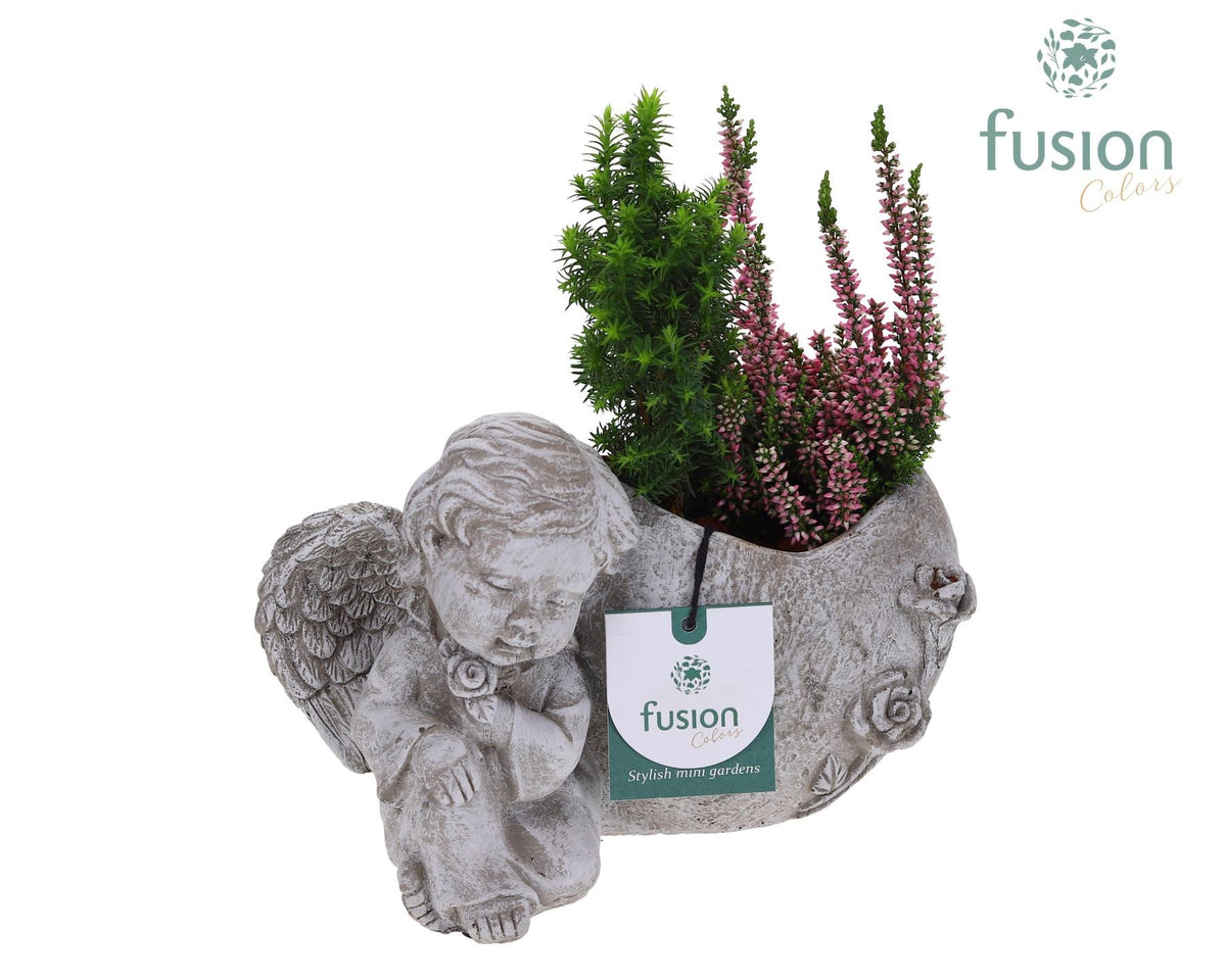 arr. Outdoor FC-22.1215 20cm 21cm Pot