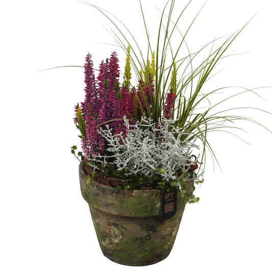 Outdoor arrangement 45cm 17cm Pot