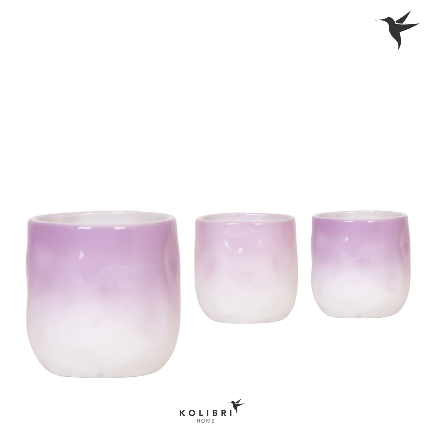 OK Plant Kolibri Home Gradience pot lila mix Pack of 6