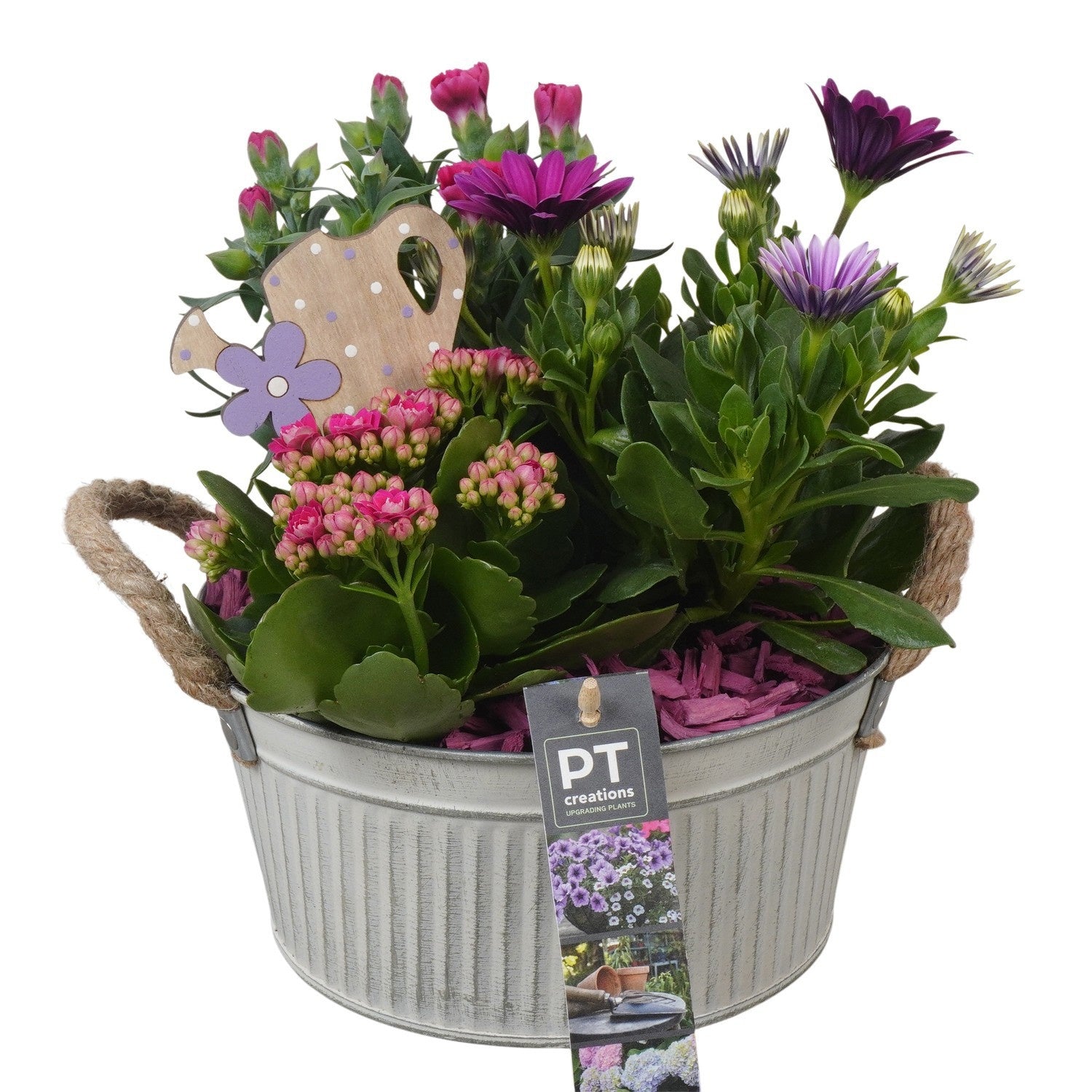 Outdoor arrangement 23cm 19cm Pot