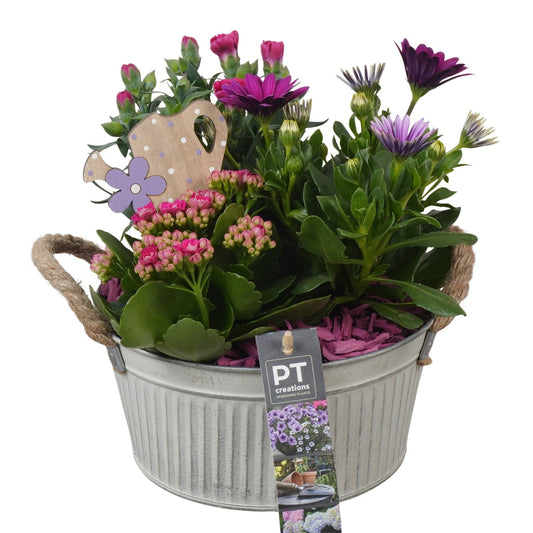 Outdoor arrangement 23cm 19cm Pot