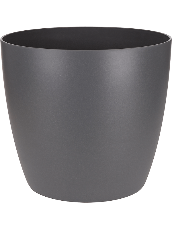 Brussels® Plant Pot 6cm Height 6cm Dia Round Mini Anthracite