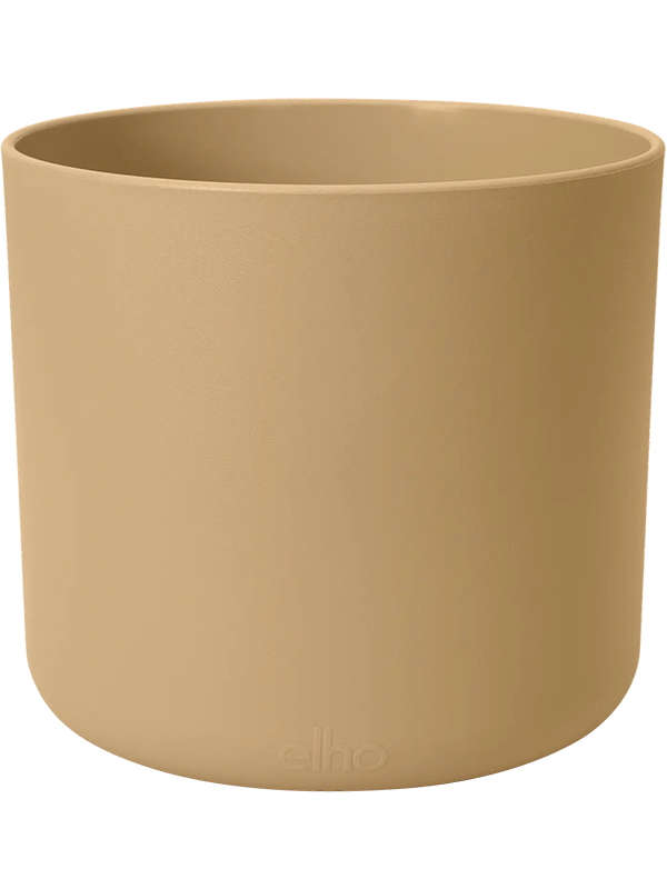 B. For Soft Plant Pot 15cm Height 15.5cm Dia Round Golden Sand