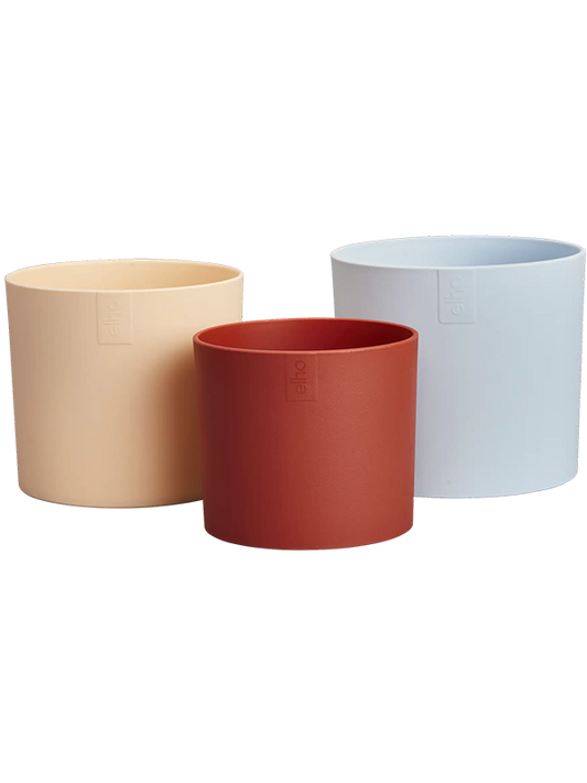 Lex Pott Plant Pot 12cm Dia Flowerpot Sky Blue Multicolor (set of 3)