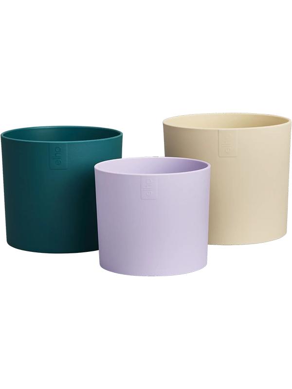 Lex Pott Plant Pot 12cm Dia Flowerpot Velvet Cream Multicolor (set of 3)
