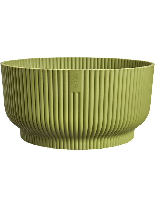 Vibes Fold Plant Pot 12cm Height 24cm Dia Bowl Fern Green