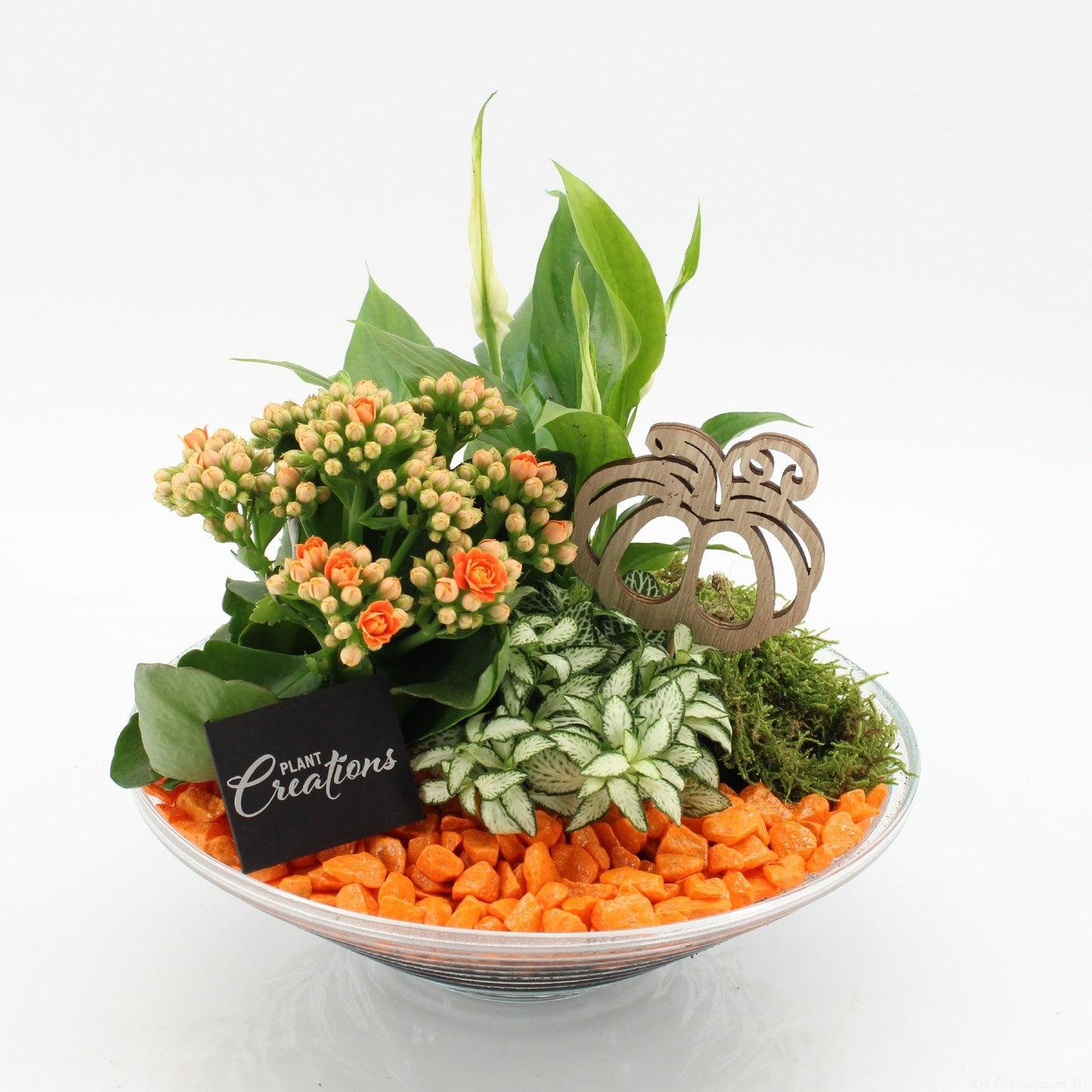 BHCR-2602 Autumn Fundamentals 35cm 25cm Pot