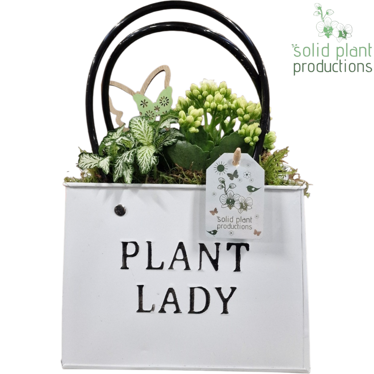 ZKE001 White Bag Large 28cm 18cm Pot