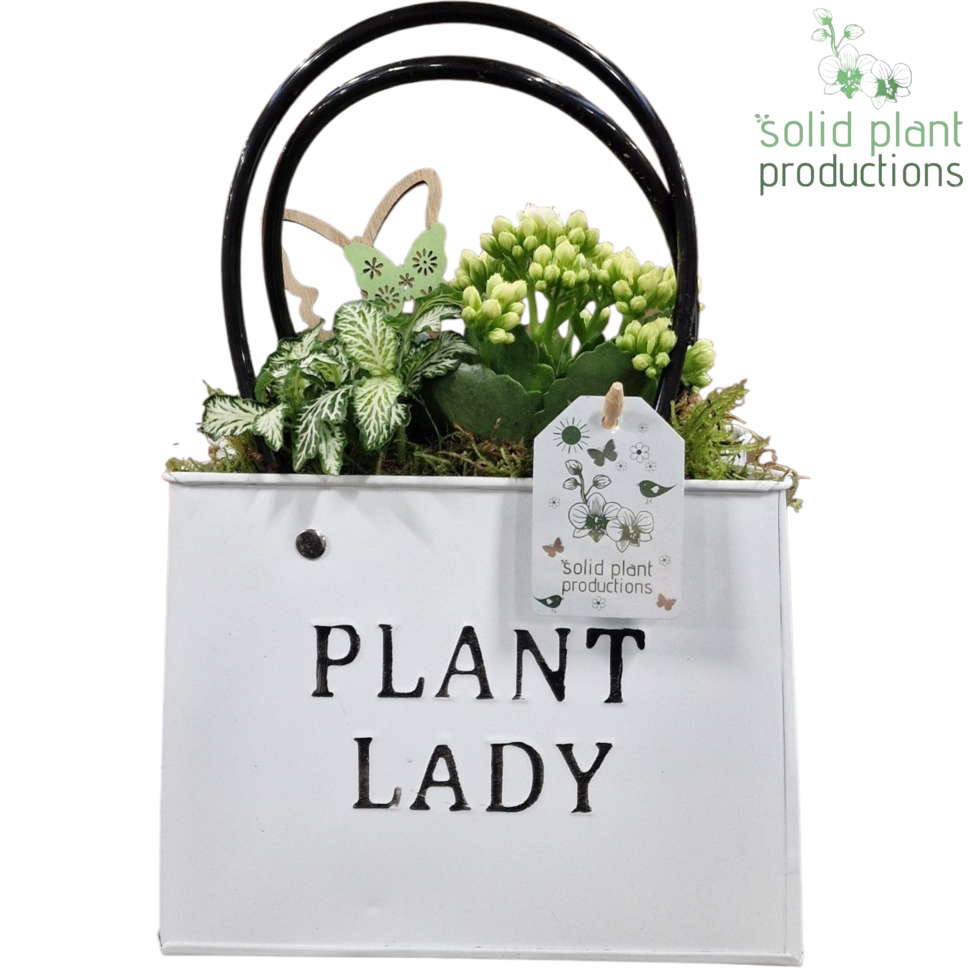 ZKE001 White Bag Large 28cm 18cm Pot
