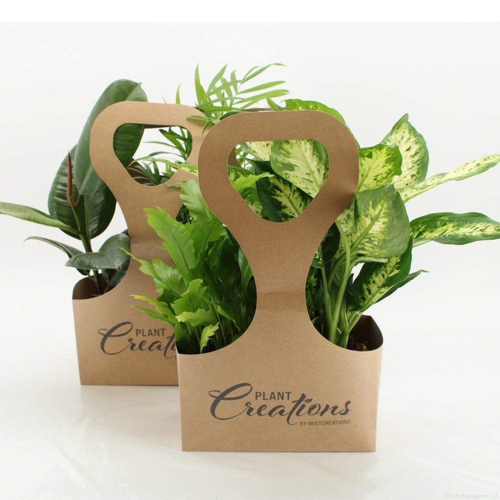 Tas 2 Ecotas met 2 planten 40cm 12cm Pot