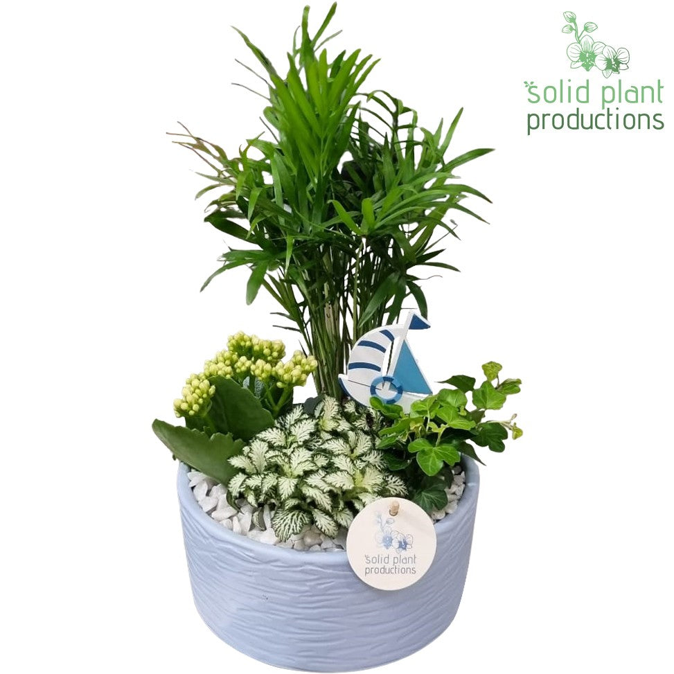 CH003 Loes Blue 38cm 18cm Pot