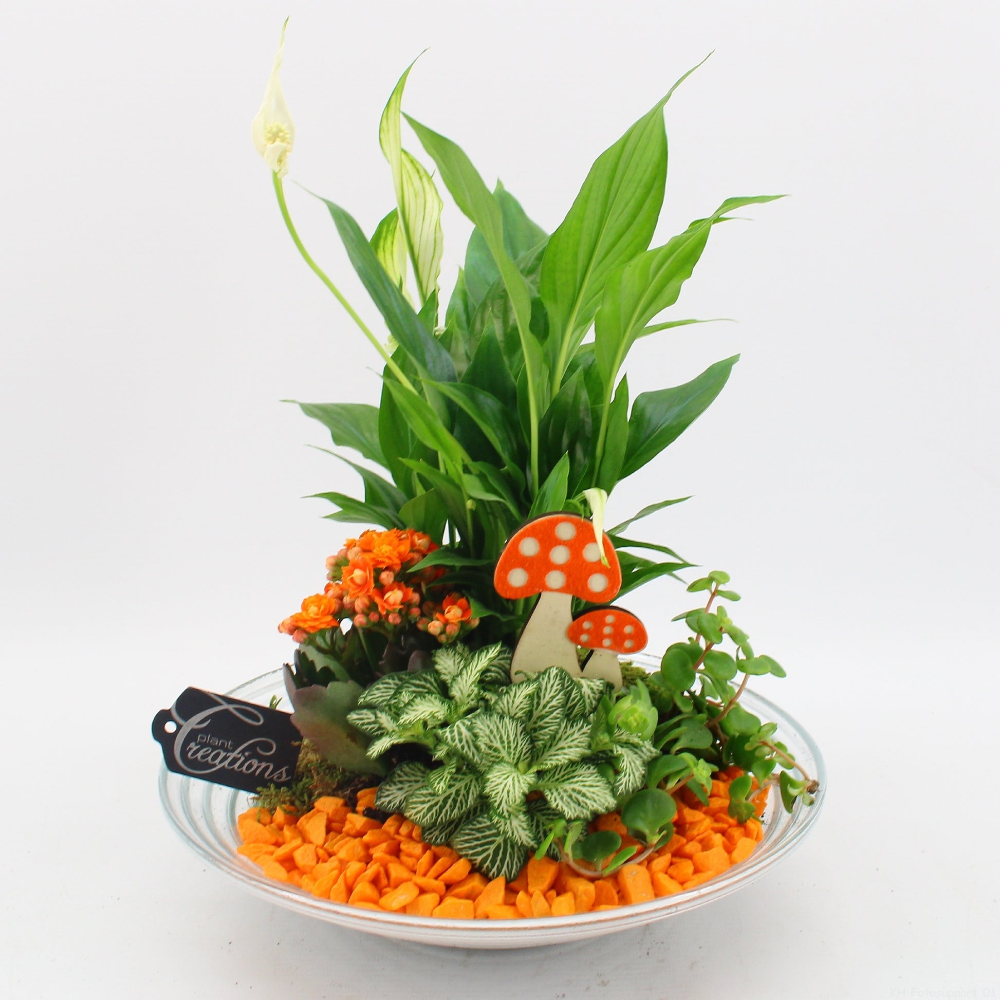 BHCR-2603 Autumn Fundamentals 35cm 30cm Pot