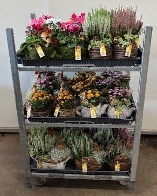JS-Creations Outdoor arrangement Pack of 41