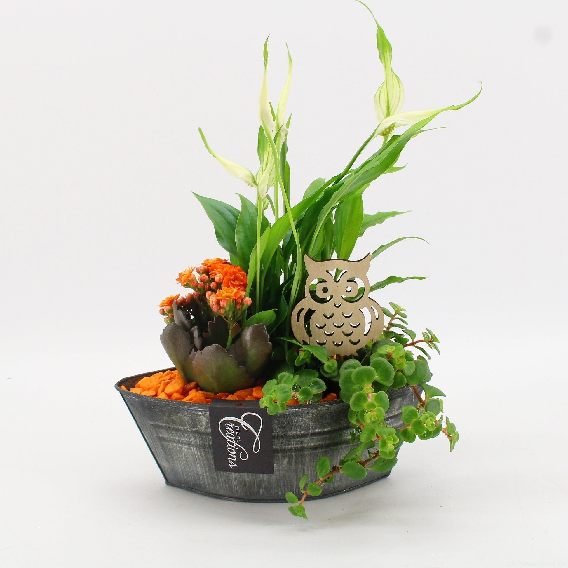 BHCR-2615 Autumn Fundamentals 30cm 22cm Pot
