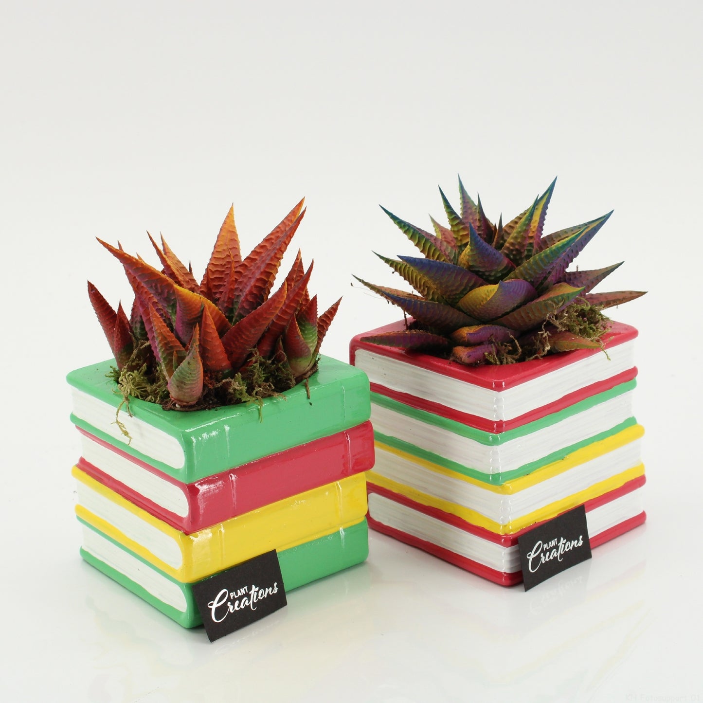 SSCR-2602 School Creations 15cm 10cm Pot