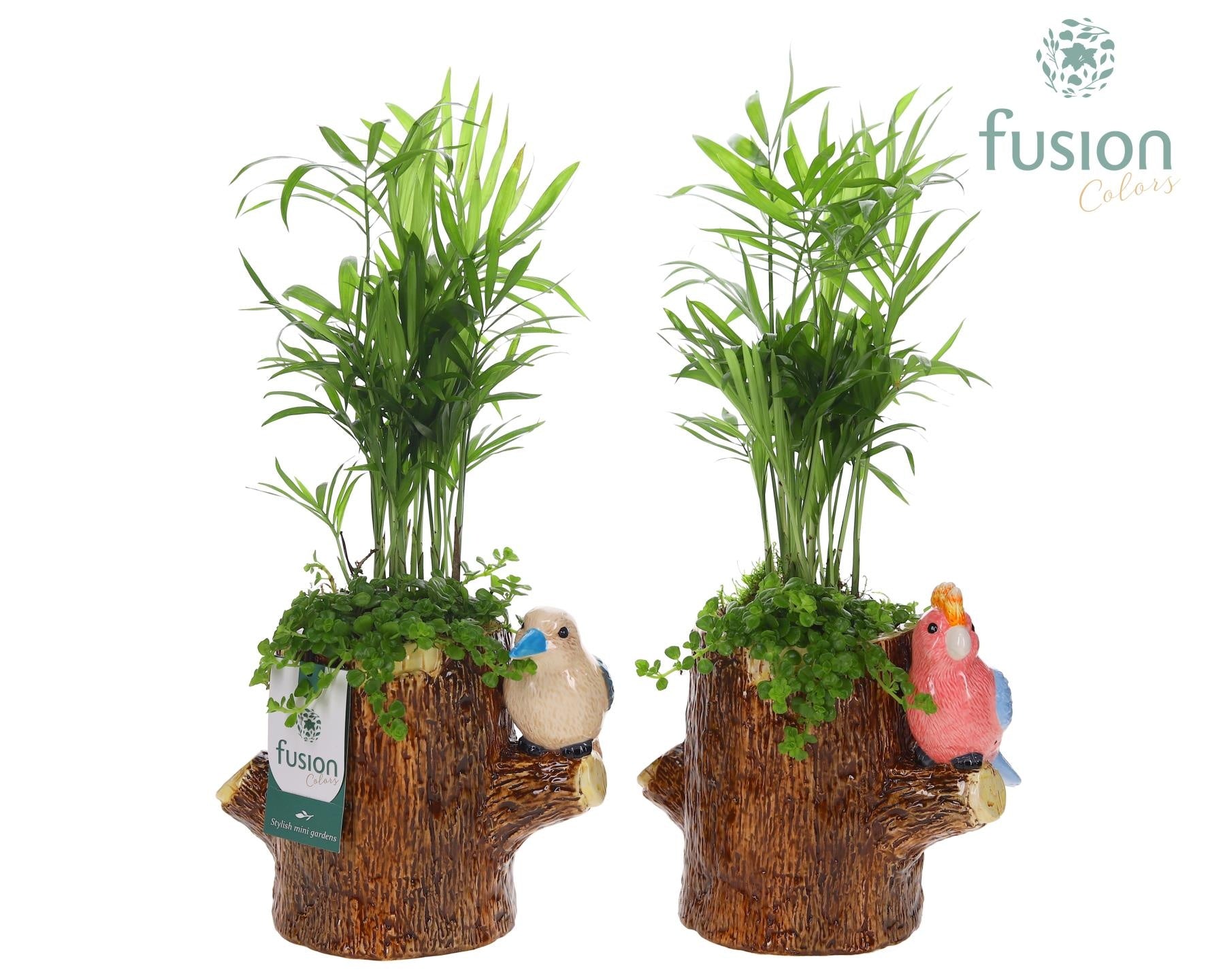 Keramiek boomstam planter met Arrangement 2pp 43cm 19cm Pot