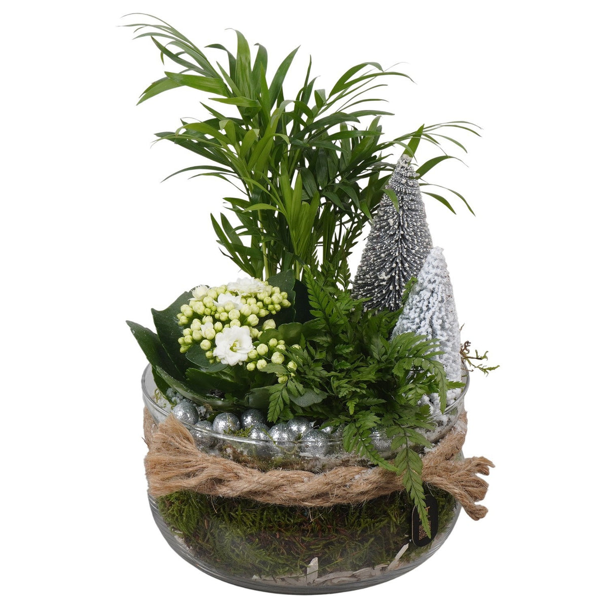 Christmas arrangement 30cm 18cm Pot