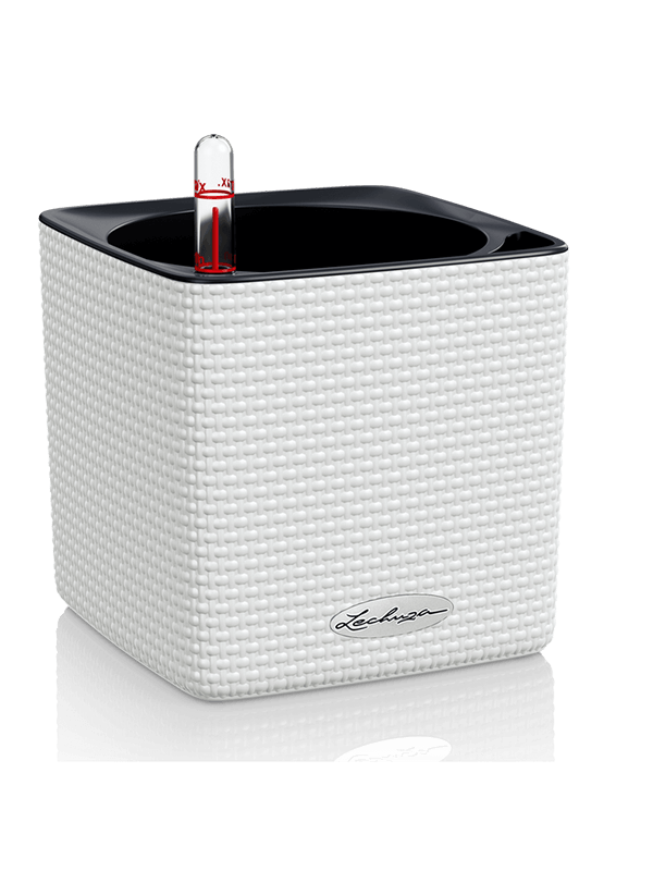 Lechuza Cube Color 14 Plant Pot 14cm Height 12cm Dia All Inclusive Set White (structure)