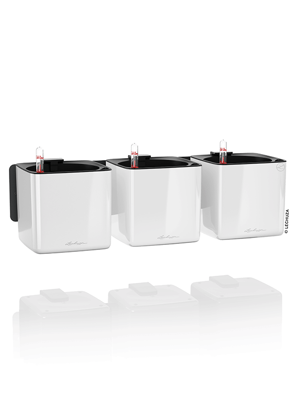 Lechuza Cube Green Wall Home Kit Color Plant Pot 14cm Height 12cm Dia All Inclusive Set White High Gloss