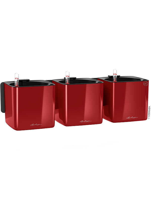 Lechuza Cube Green Wall Home Kit Color Plant Pot 14cm Height 12cm Dia All Inclusive Set Scarlet Red High-gloss
