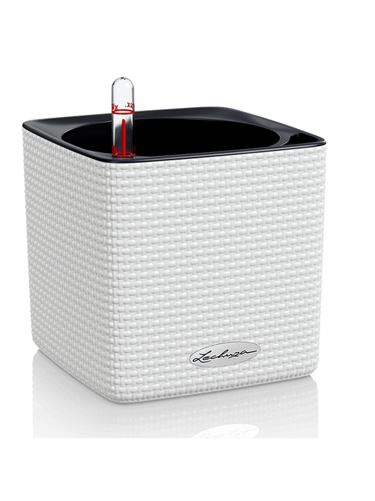 Lechuza Cube Color 16 Plant Pot 16cm Height 15cm Dia All Inclusive Set White (structure)