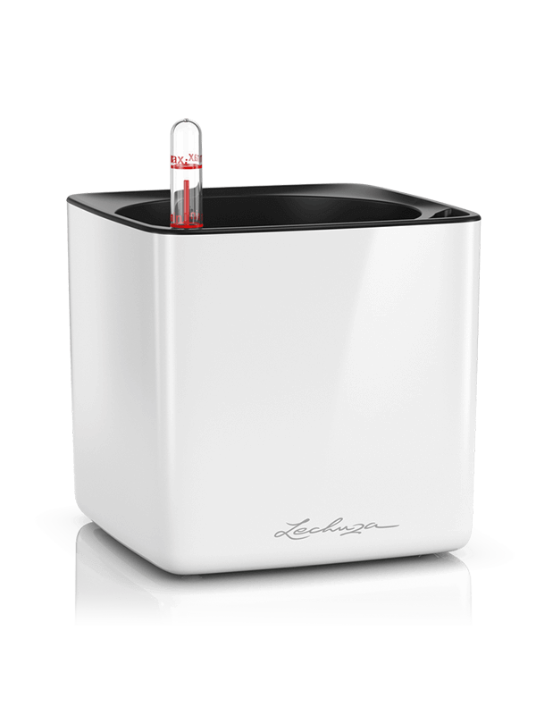 Lechuza Cube Glossy 14 Plant Pot 14cm Height 12cm Dia All Inclusive Set White High Gloss