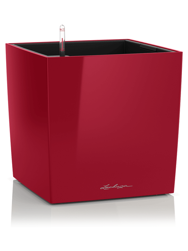 Lechuza Premium Cube 50 Plant Pot 50cm Height 44cm Dia All Inclusive Set Scarlet Red High-gloss