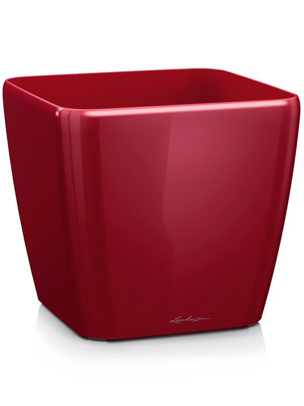 Lechuza Quadro Plant Pot 20cm Height 20cm Dia Scarlet Red High-gloss