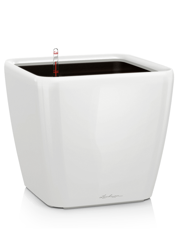 Lechuza Premium Quadro LS 21 Plant Pot 20cm Height 18cm Dia All Inclusive Set White