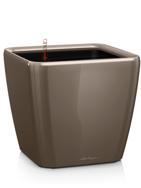 Lechuza Premium Quadro LS 21 Plant Pot 20cm Height 19cm Dia All Inclusive Set Taupe High Gloss