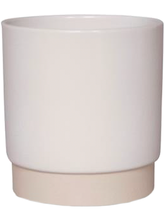 Eno Duo Plant Pot 8cm Height 7cm Dia Pot Shiny White