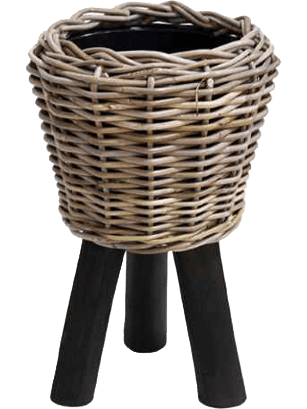 Drypot Rattan Plant Pot 42cm Height 21cm Dia Round With Black Feet