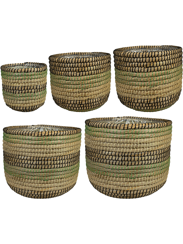Jane Plant Pot 31cm Dia Pot Jungle (set of 5)