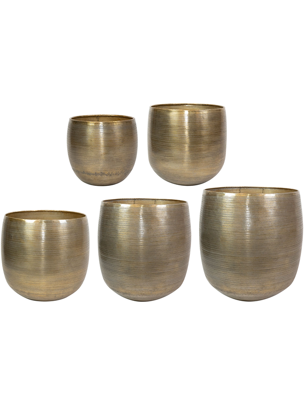 Rowen Plant Pot 62cm Dia Pot Gold (set of 5)