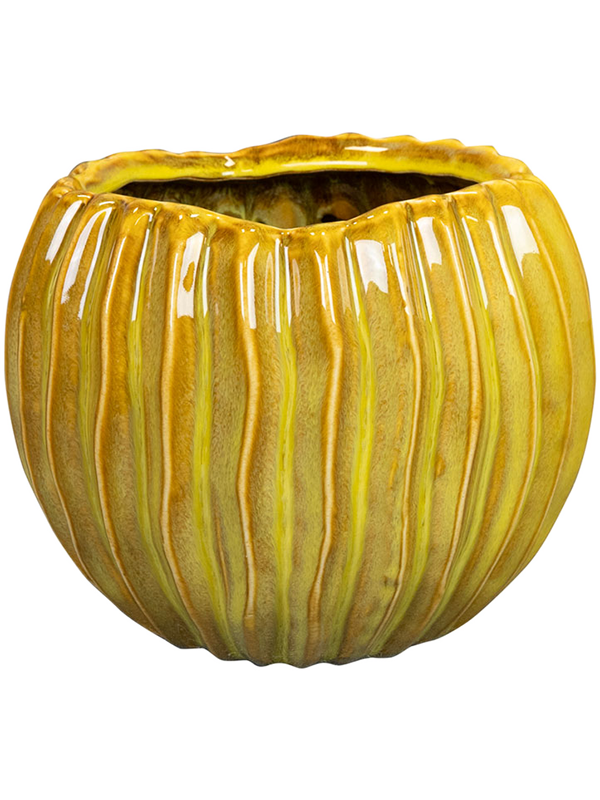 Sanah Plant Pot 14cm Height 11cm Dia Pot Mustard