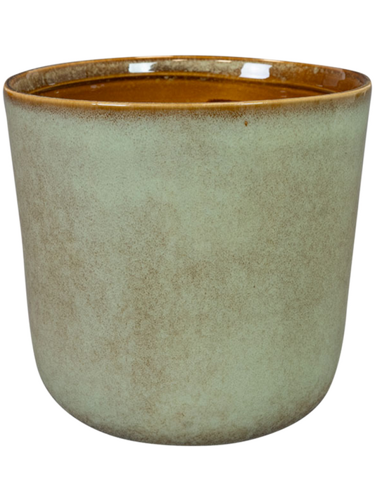 Hedy Plant Pot 13cm Height 11cm Dia Pot Thyme