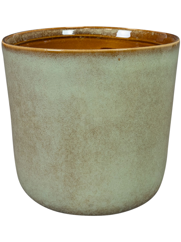 Hedy Plant Pot 17cm Height 16cm Dia Pot Thyme